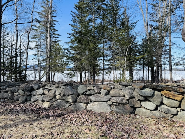 747 S Shore Dr Unit 6, Rangeley Plt, ME 04970 - view of yard