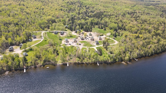 747 S Shore Dr Unit 6, Rangeley Plt, ME 04970 - view of property location featuring a forest and a nearby body of water