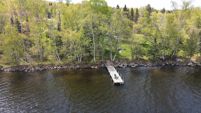 747 S Shore Dr Unit 6, Rangeley Plt, ME 04970 - dock area featuring a view of trees and a water view
