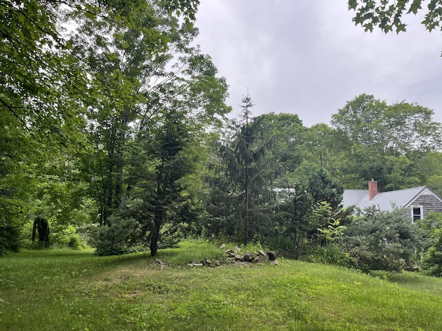 67 Elm St, Newfield, ME 04095 - view of yard