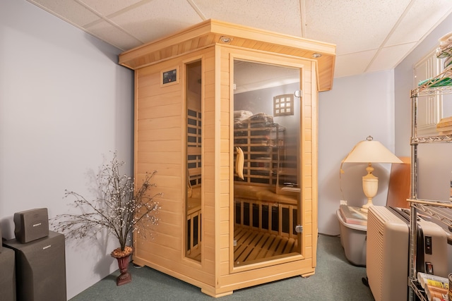 56 Old Kings Hwy, Ogunquit, ME 03907 - view of sauna featuring carpet floors