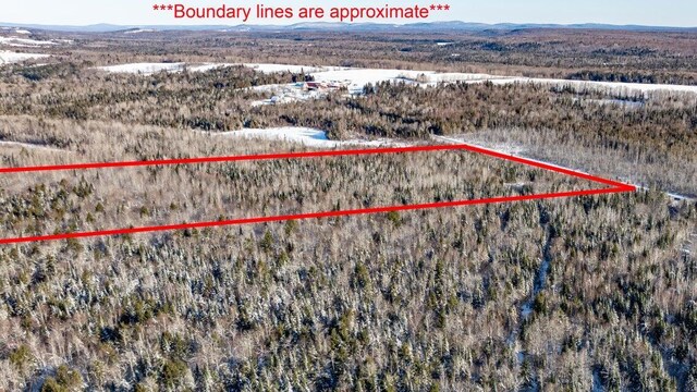 TBD Silver Ridge Rd, Silver Ridge Twp, ME 04776 - photo 4