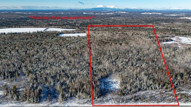 TBD Silver Ridge Rd, Silver Ridge Twp, ME 04776 - photo 6