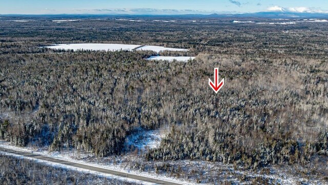 TBD Silver Ridge Rd, Silver Ridge Twp, ME 04776 - photo 7