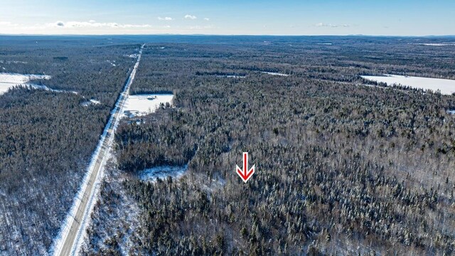 TBD Silver Ridge Rd, Silver Ridge Twp, ME 04776 - photo 8