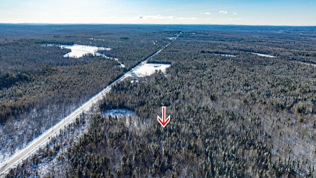 TBD Silver Ridge Rd, Silver Ridge Twp, ME 04776 - photo 9