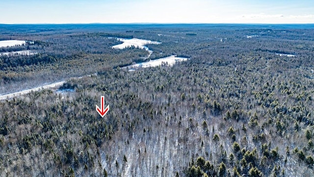 TBD Silver Ridge Rd, Silver Ridge Twp, ME 04776 - photo 10