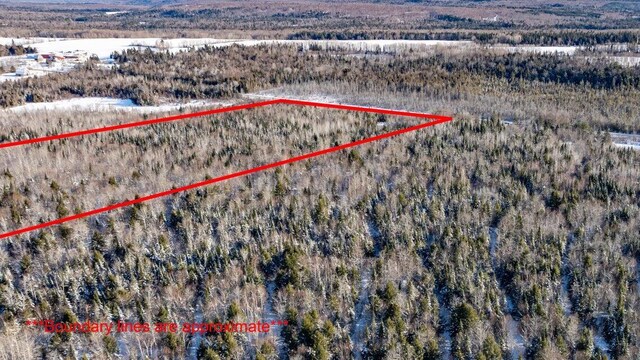 TBD Silver Ridge Rd, Silver Ridge Twp, ME 04776 - photo 11