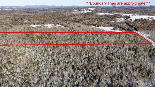TBD Silver Ridge Rd, Silver Ridge Twp, ME 04776 - photo 12