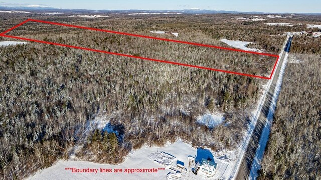 TBD Silver Ridge Rd, Silver Ridge Twp, ME 04776 - photo 13