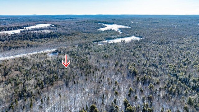 TBD Silver Ridge Rd, Silver Ridge Twp, ME 04776 - photo 14