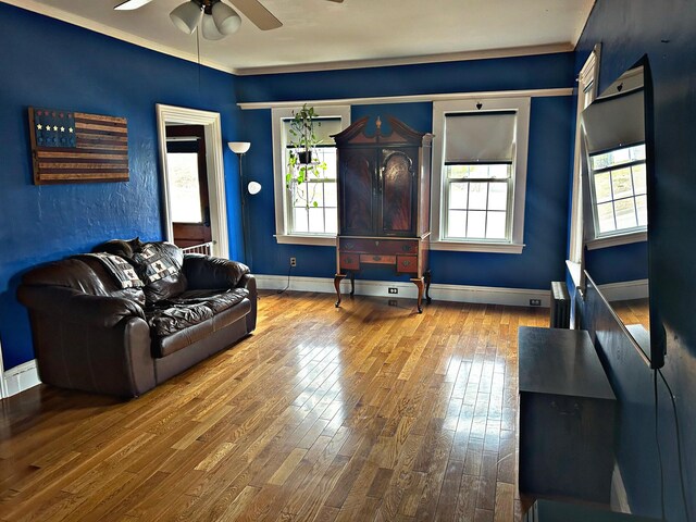 106 Northern Ave, Augusta, ME 04330 - living room with ceiling fan, baseboards, hardwood / wood-style flooring, and a wealth of natural light
