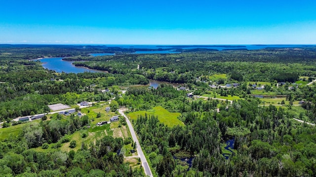 bird's eye view featuring a forest view and a water view