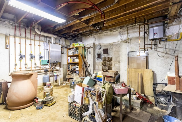 unfinished below grade area with tankless water heater