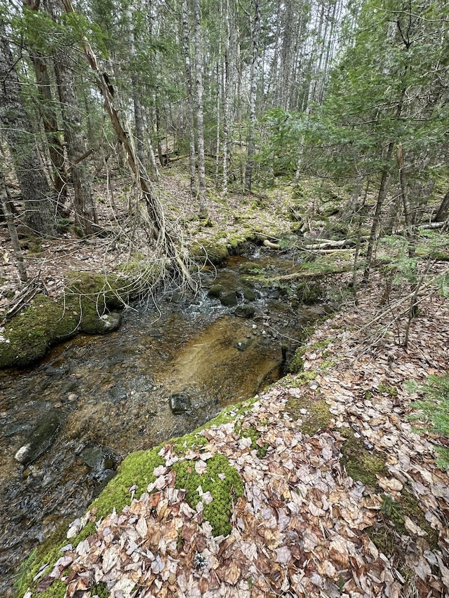view of nature