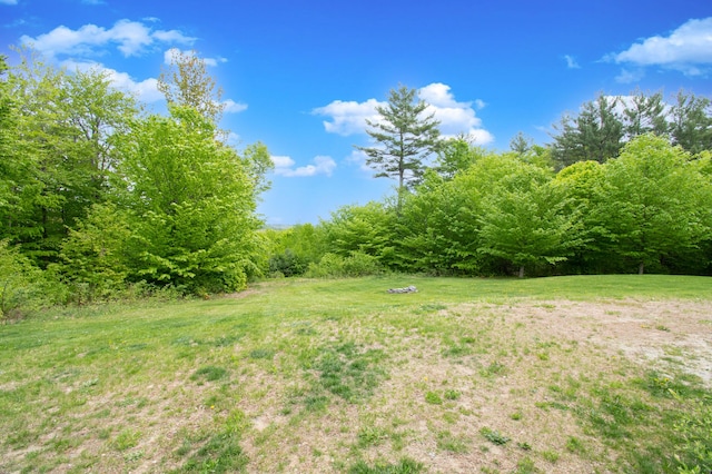 12 Charlies Way, Readfield, ME 04355 - view of yard with a forest view