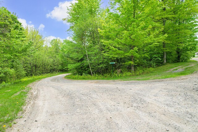 12 Charlies Way, Readfield, ME 04355 - view of street with a forest view