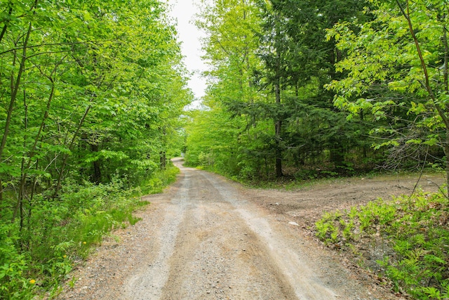 12 Charlies Way, Readfield, ME 04355 - view of road with a view of trees