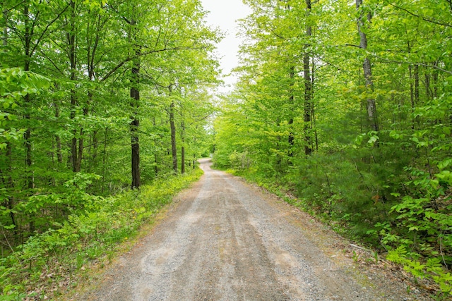 12 Charlies Way, Readfield, ME 04355 - view of road with a forest view
