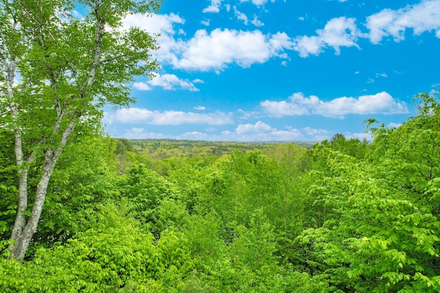 12 Charlies Way, Readfield, ME 04355 - view of local wilderness featuring a forest view