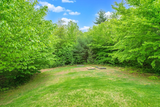 12 Charlies Way, Readfield, ME 04355 - view of yard featuring a view of trees