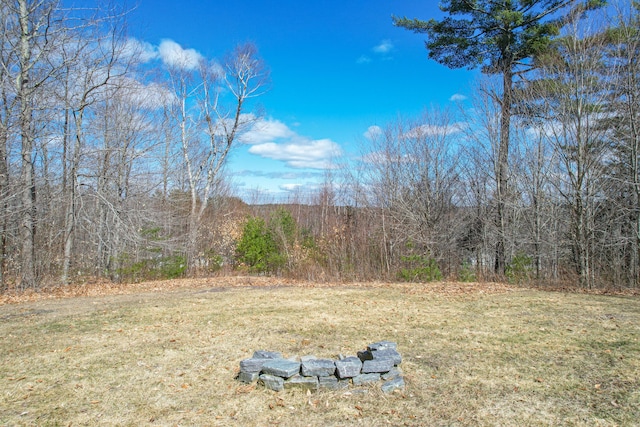 12 Charlies Way, Readfield, ME 04355 - view of yard