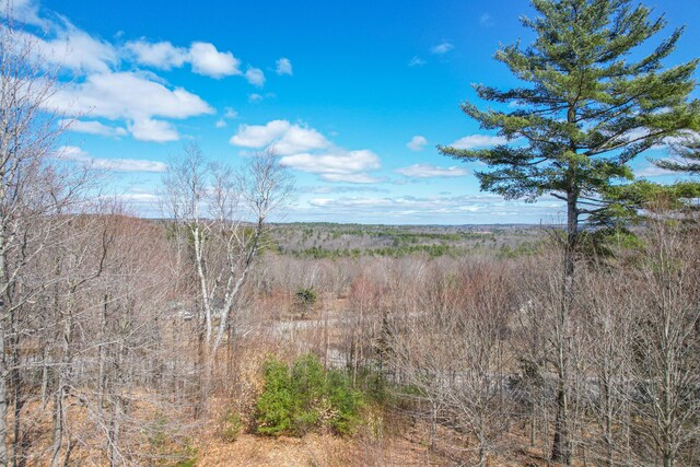 12 Charlies Way, Readfield, ME 04355 - view of nature with a wooded view