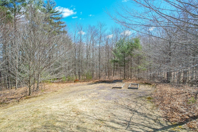 12 Charlies Way, Readfield, ME 04355 - view of yard with a wooded view