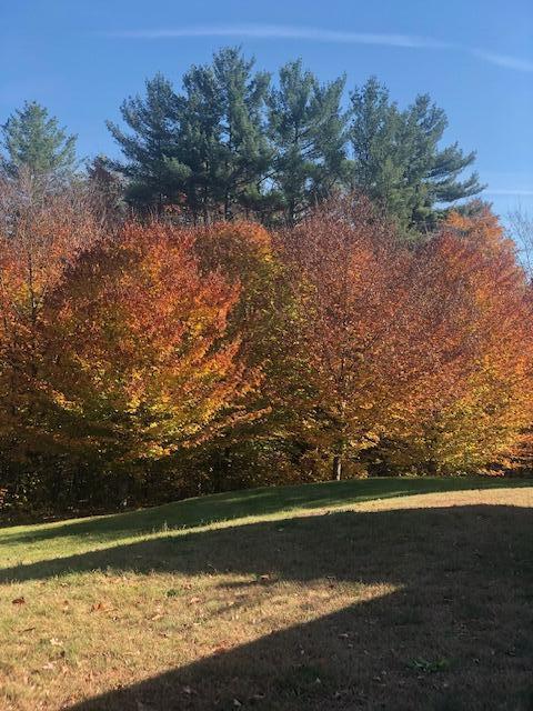 12 Charlies Way, Readfield, ME 04355 - view of yard