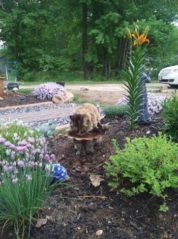 60 Maple St, Casco, ME 04015 - photo 15