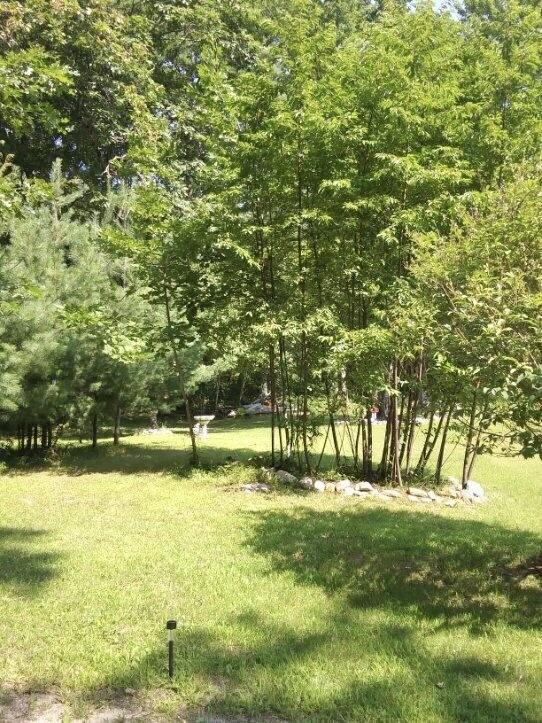 60 Maple St, Casco, ME 04015 - photo 29