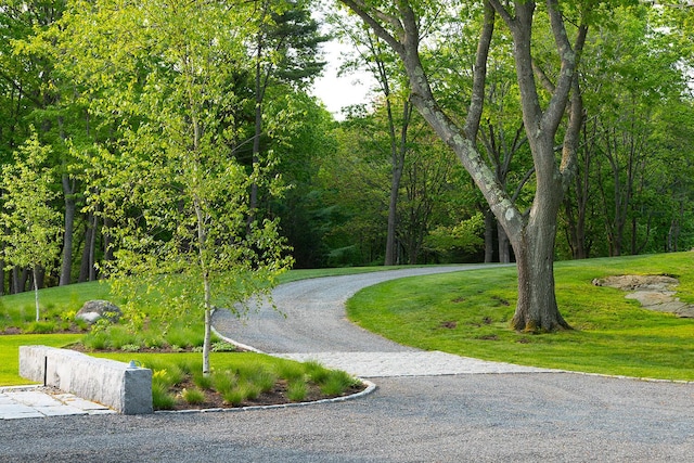 4 Ice House Pt, York, ME 03909 - view of property's community with a lawn and curved driveway