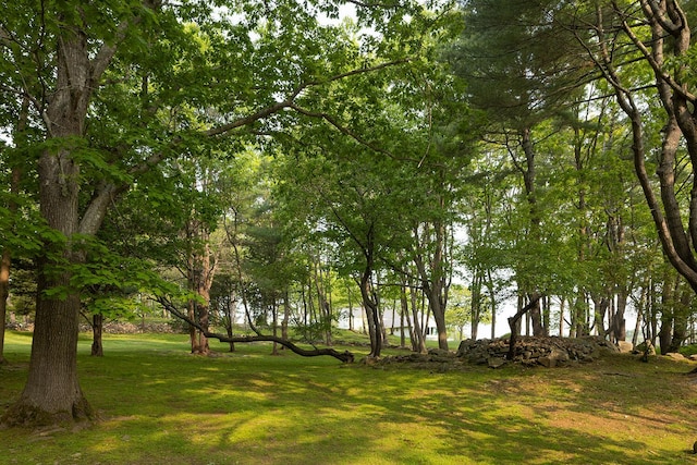 4 Ice House Pt, York, ME 03909 - view of green lawn