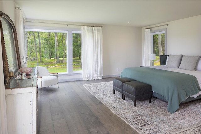 4 Ice House Pt, York, ME 03909 - bedroom with wood finished floors, multiple windows, baseboards, and recessed lighting