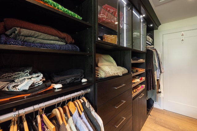 4 Ice House Pt, York, ME 03909 - spacious closet featuring light wood-style floors
