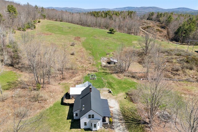 drone / aerial view with a mountain view, a rural view, and a forest view