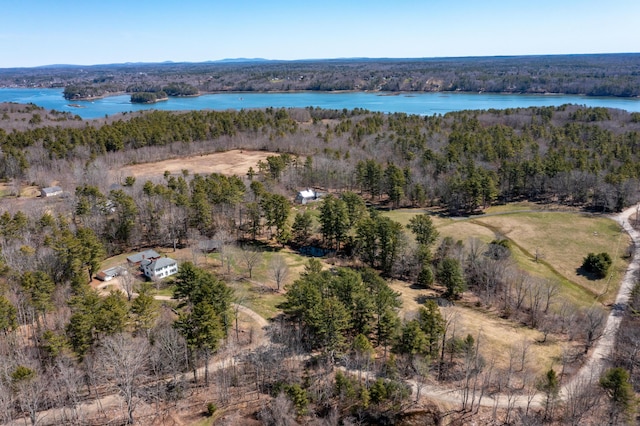 aerial view with a view of trees and a water view