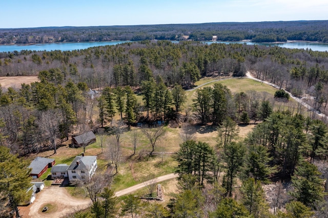 drone / aerial view with a view of trees and a water view