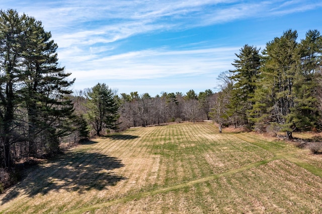 view of yard featuring a view of trees