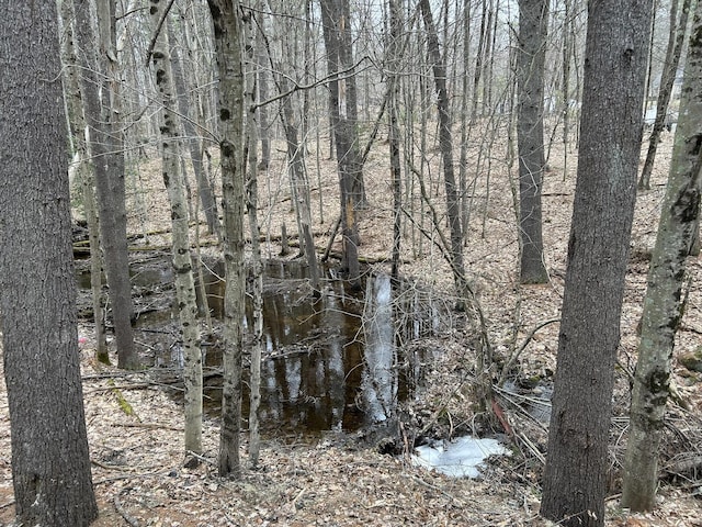 669 New Dam Rd, Waterboro, ME 04061 - view of nature
