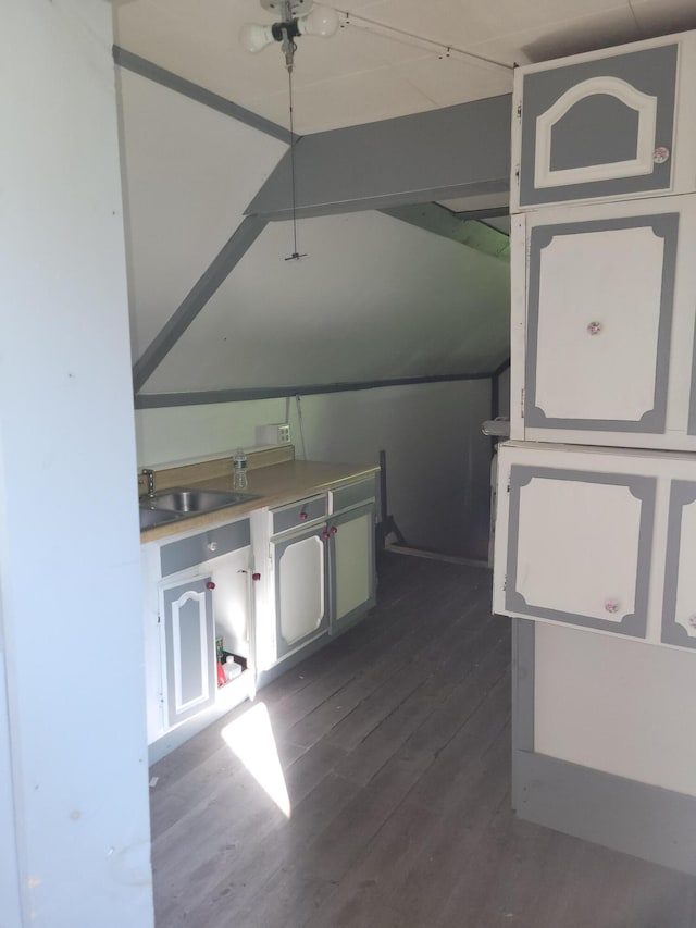 kitchen with a sink and dark wood finished floors