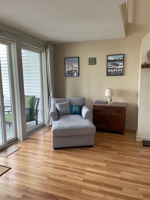 24 Clifford Rd Unit 18, Naples, ME 04055 - sitting room featuring a textured ceiling and light wood-style flooring