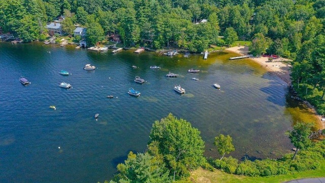 24 Clifford Rd Unit 18, Naples, ME 04055 - aerial view with a water view and a wooded view