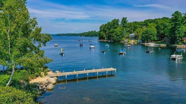 24 Clifford Rd Unit 18, Naples, ME 04055 - view of water feature