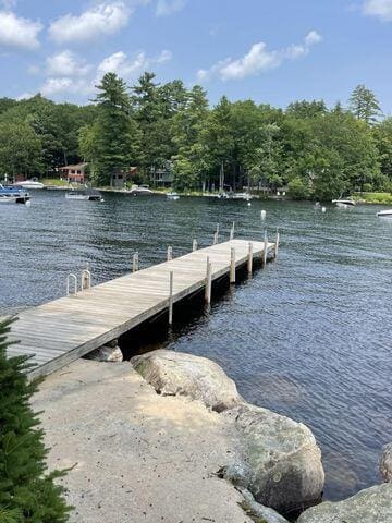 24 Clifford Rd Unit 18, Naples, ME 04055 - view of dock featuring a water view and a view of trees