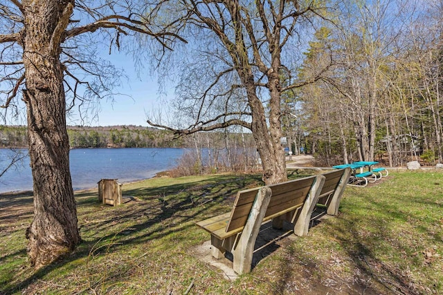 214 Gore Rd, Naples, ME 04055 - view of grassy yard featuring a water view and a forest view