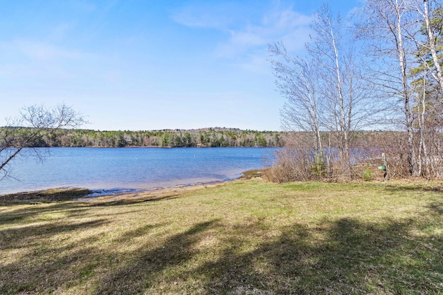 214 Gore Rd, Naples, ME 04055 - water view with a heavily wooded area