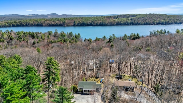 214 Gore Rd, Naples, ME 04055 - aerial view of a forest and a nearby body of water