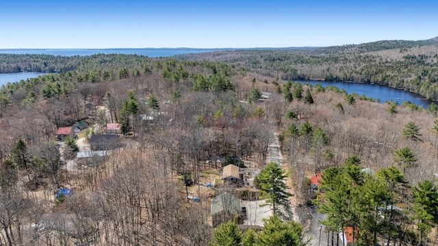 214 Gore Rd, Naples, ME 04055 - aerial view of property's location featuring a forest and a nearby body of water