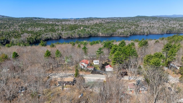 214 Gore Rd, Naples, ME 04055 - view of property location with a heavily wooded area and a nearby body of water